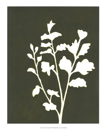 Framed Four Seasons Foliage II Print