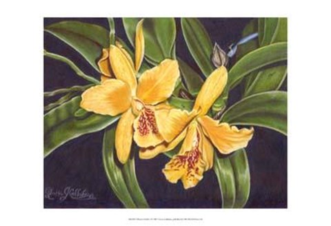 Framed Vibrant Orchid I Print