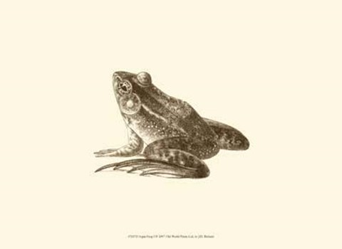 Framed Sepia Frog I Print