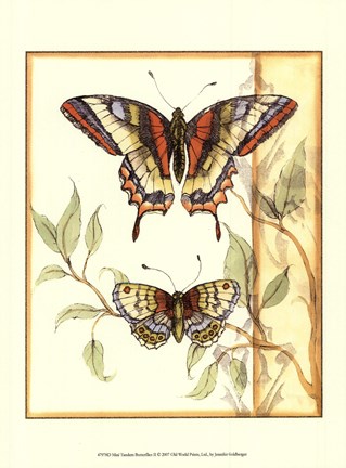Framed Mini Tandem Butterflies II Print