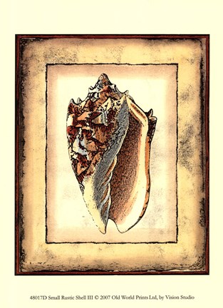 Framed Small Rustic Shell III Print