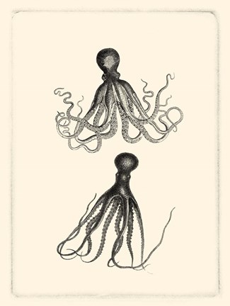 Framed Sepia Octopus Print