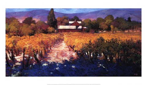 Framed Vineyard Afternoon Print