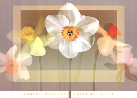 Framed Daffodil Suite Print