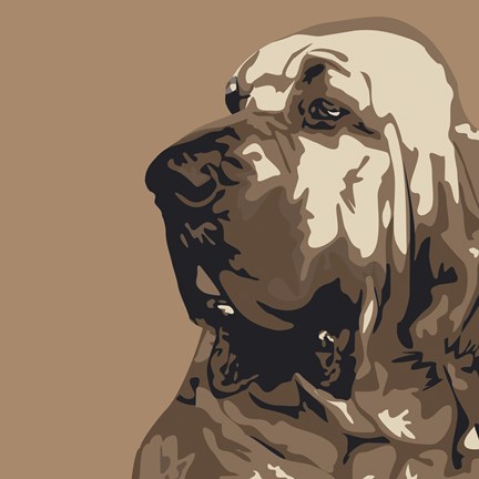 Framed Bloodhound Print