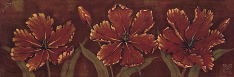 Framed Venetian Tulips - Cs Print