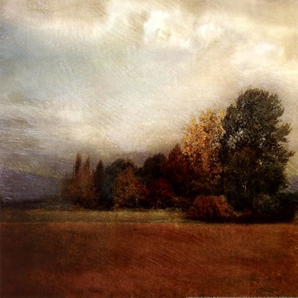 Framed Autumn Horizon II Print