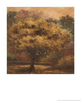 Framed Tree Cast IV Print