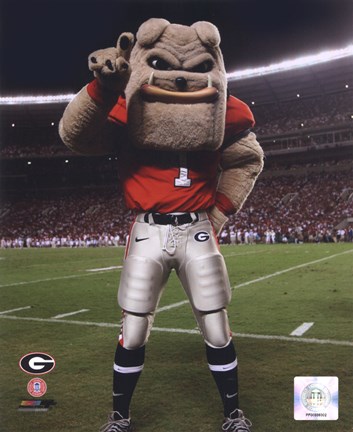 Framed Univserity of Georgia Bulldogs Mascot 2007 Print