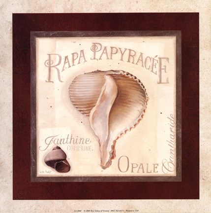 Framed Rapa Papyracee Print