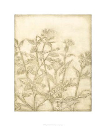 Framed Ivory Field II Print
