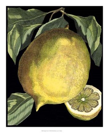 Framed Fragrant Citrus I Print