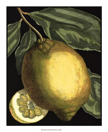 Framed Fragrant Citrus II Print