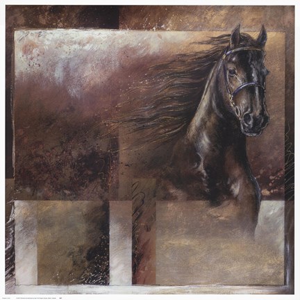 Framed Stallion Print