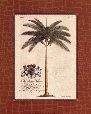 Framed Date Palm Print