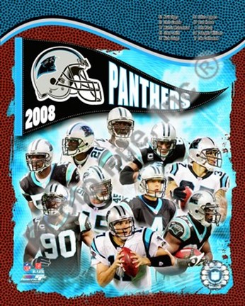 Framed 2008 Carolina Panthers Team Composite Print