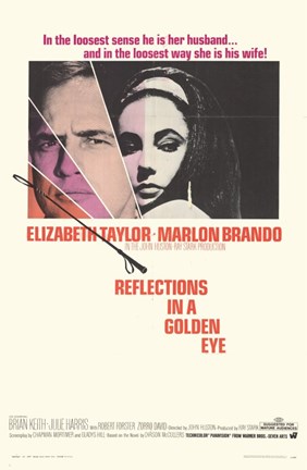 Framed Reflections In a Golden Eye Print