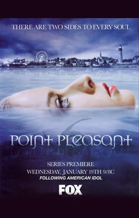 Framed Point Pleasant Print