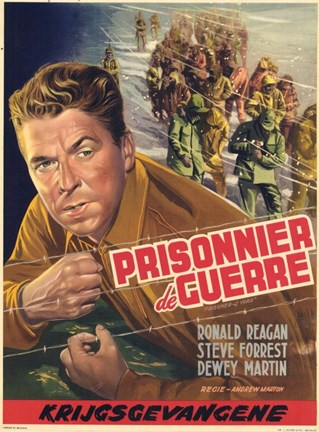 Framed Prisoner of War Print