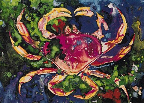 Framed Dungeness Crab Print