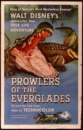 Framed Prowlers of the Everglades Print