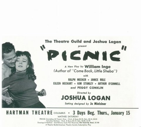 Framed Picnic (Broadway) Print