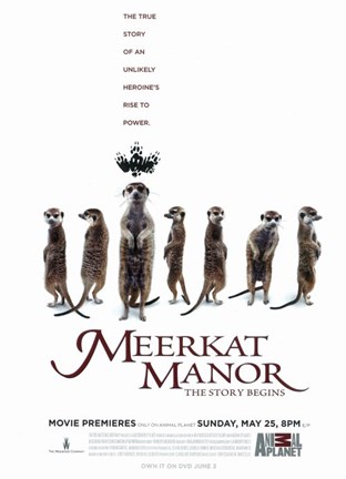 Framed Meerkat Manor (TV) Print