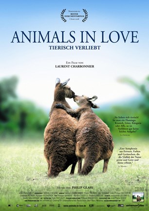 Framed Animals in Love - Kangaroos Print