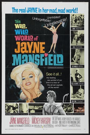 Framed Wild World of Jane Mansfield Wild Print