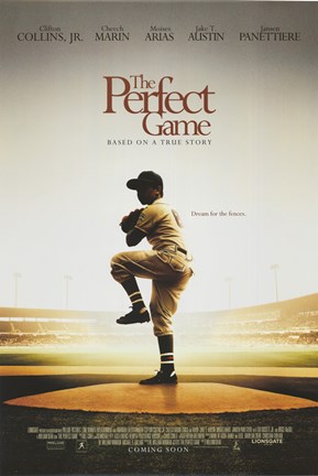 Framed Perfect Game Print
