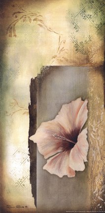 Framed Hibiscus in White II Print