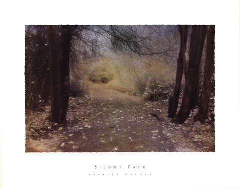 Framed Silent Path Print