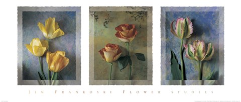 Framed Flower Studies I Print
