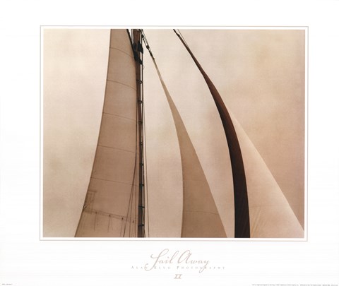 Framed Sail Away II Print