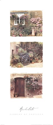 Framed Flowers of Provence Print