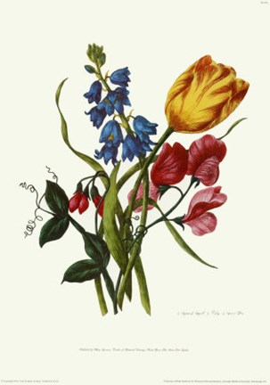 Framed Bouquet with Tulipa Gesneriana Print