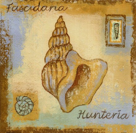 Framed Fascidaria Hunteria Print