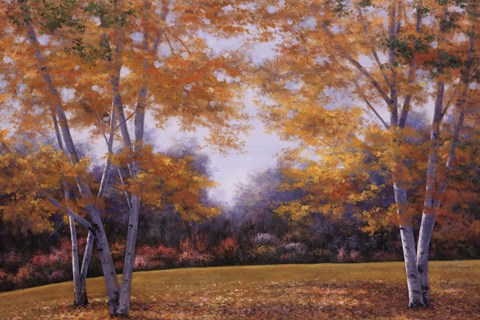 Framed Autumn Birch Print