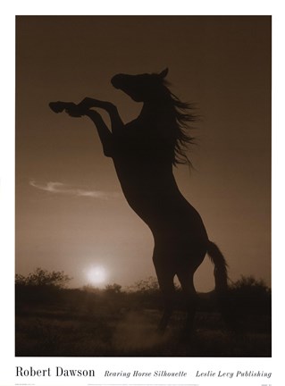 Framed Rearing Horse Silhouette Print