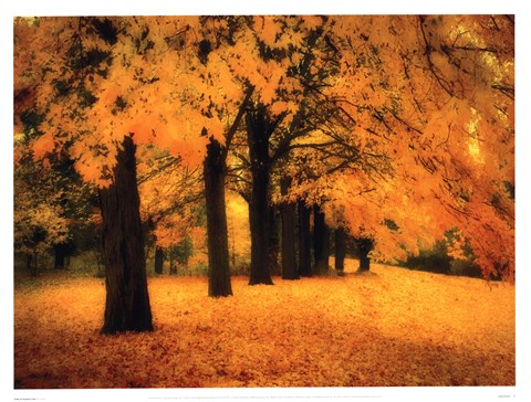 Framed Gold of Autumn East Print