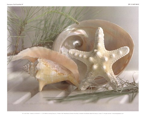 Framed Cali Starfish IV Print