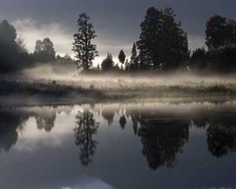 Framed Lake Matheson at Dawn Print