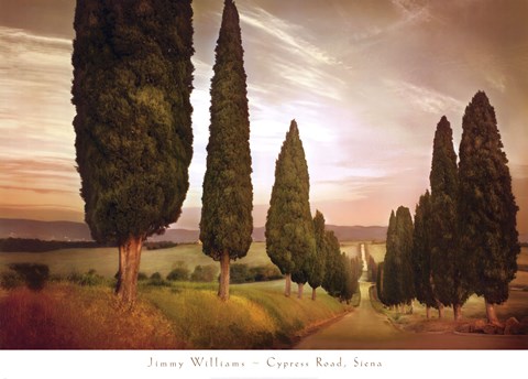 Framed Cypress Road, Siena Print