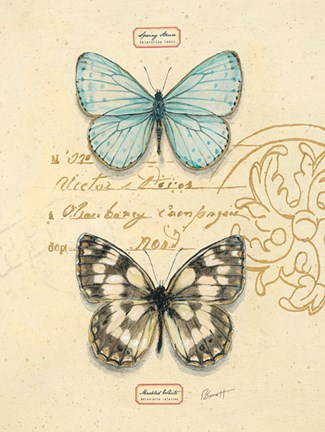 Framed Duet Papillon Print