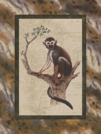 Framed Squirrel Monkey Print