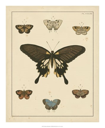 Framed Heirloom Butterflies I Print