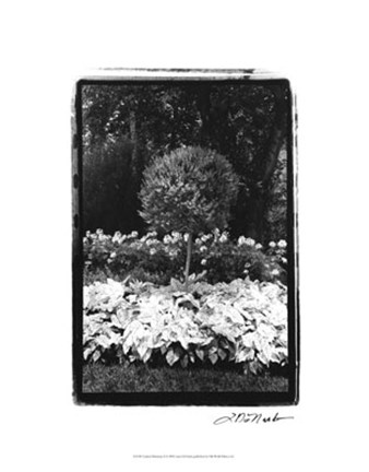 Framed Garden Hideaway II Print