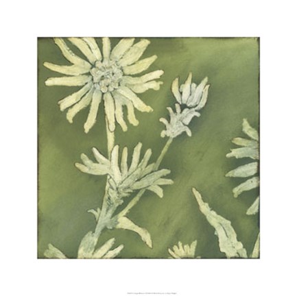 Framed Verdigris Blossoms I Print
