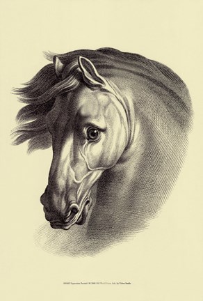 Framed Equestrian Portrait I Print