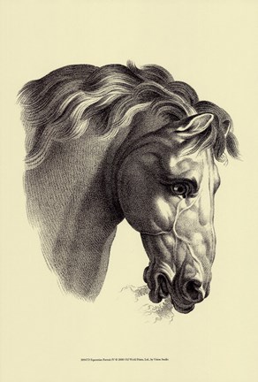 Framed Equestrian Portrait IV Print
